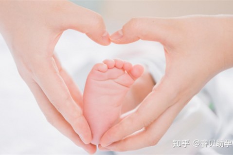 http://foshan.51dzb.net/post/188.html|佛山新闻中心